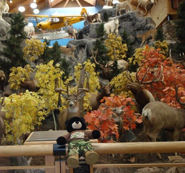 Deer in natural habitat trees and plants at cabela's stores