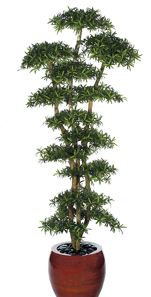 Replica Podocarpus Plant
