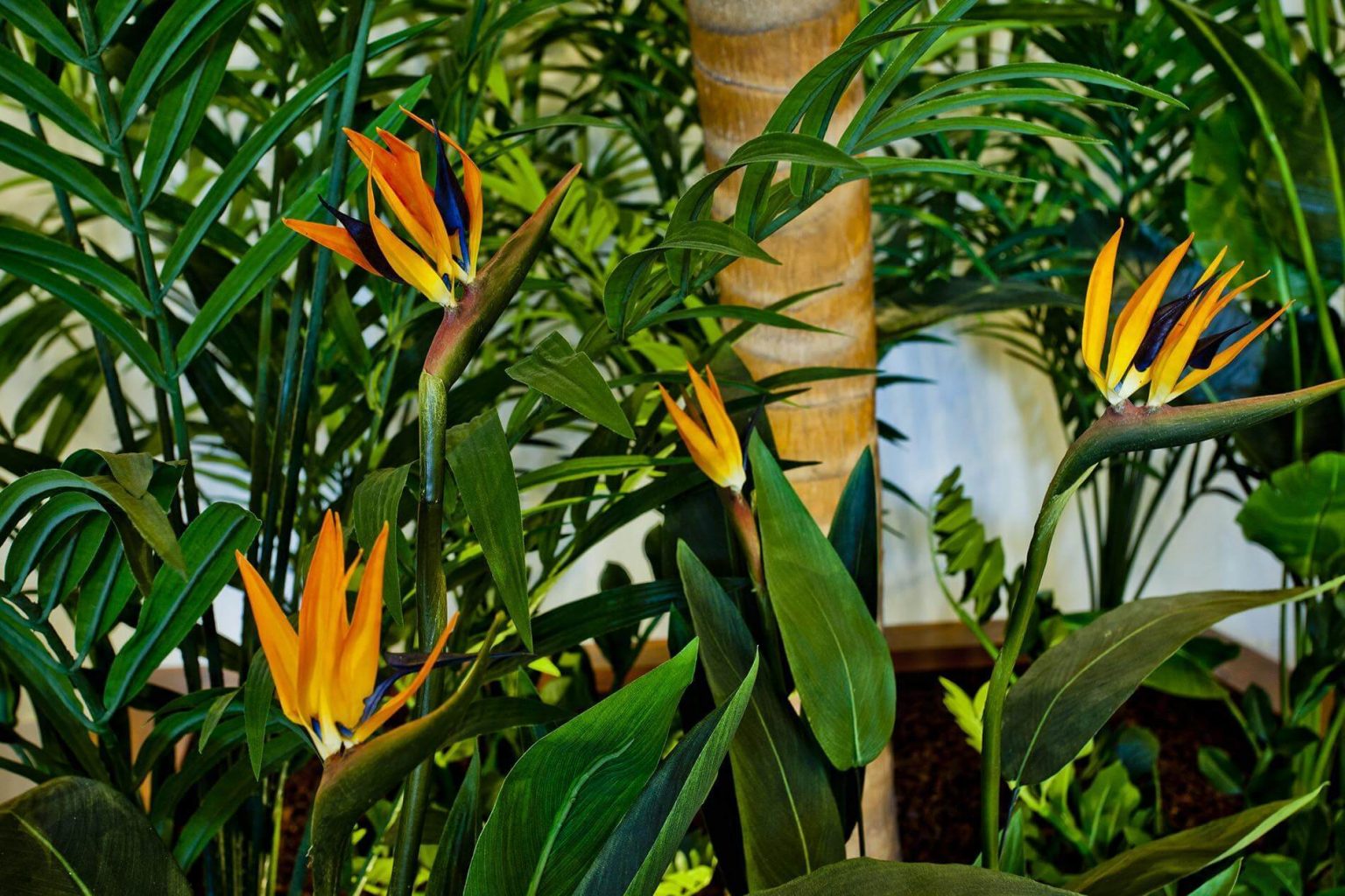 Artificial Bird of Paradise Plant TreeScapes & PlantWorks