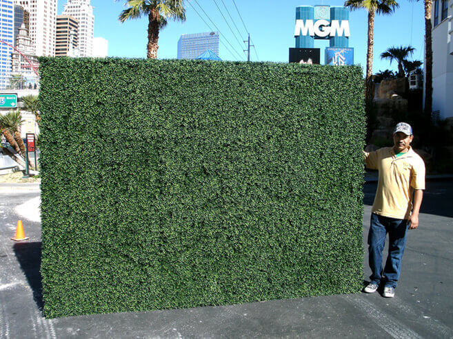 Multimedia green walls at the tropicana
