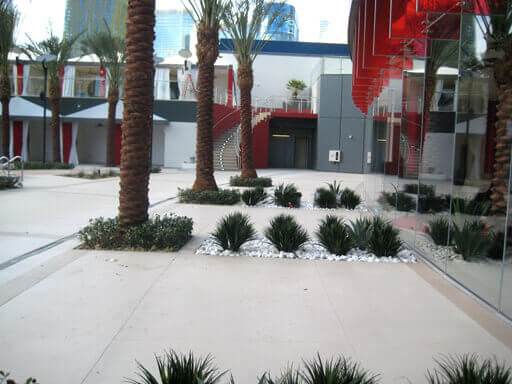 Palm trees with artificial Liriope Grass and live Agave plants outside of the Westgate Planet Hollywood
