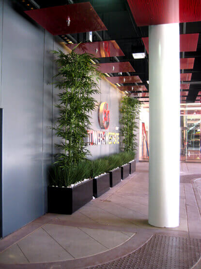 Westgate Wall with artificial bamboo and Liriope grass