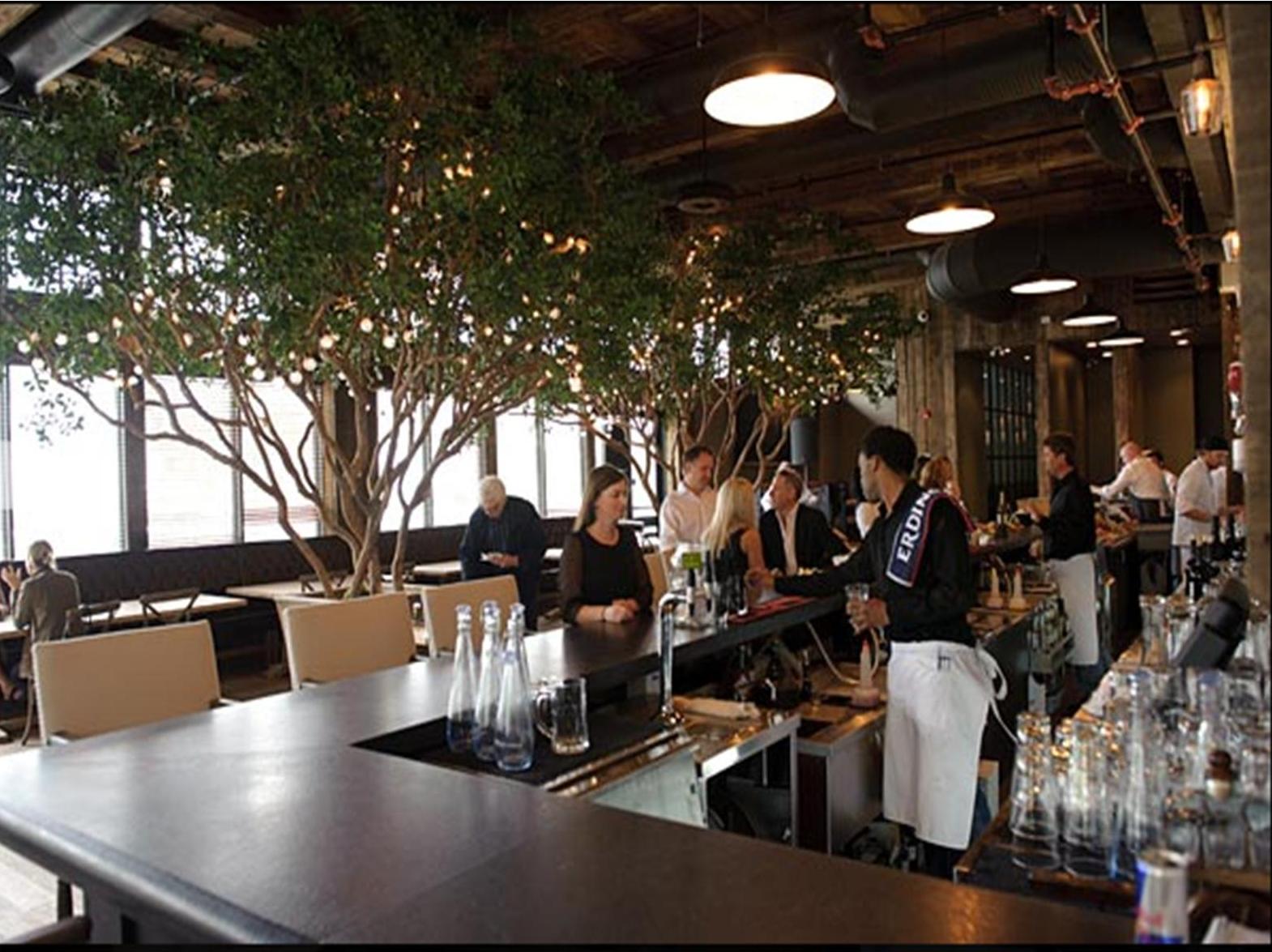 Replica Black Olive Trees near bar in Restaurant in Canada