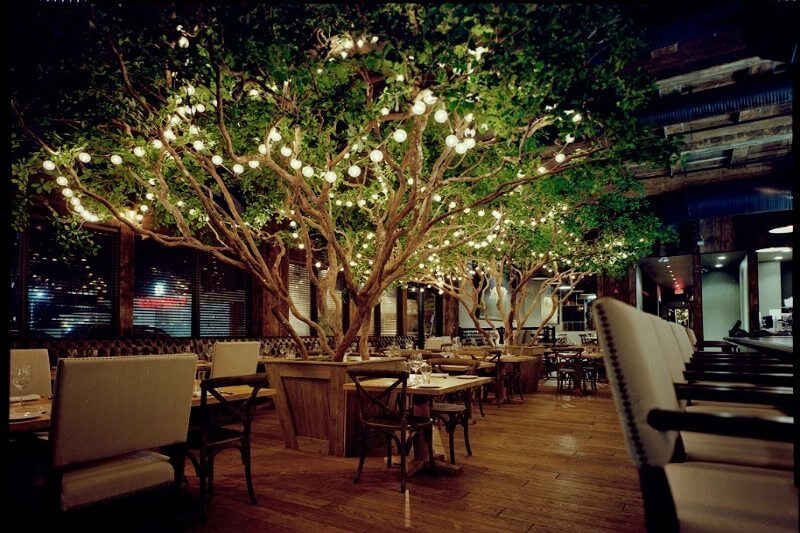 Replica Black Olive Trees with Natural Trunks in dining area at Beer Hall Restaurant in Canada