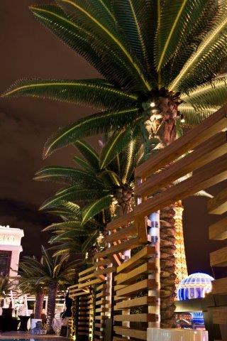 Artificial Palm Trees with Lighting