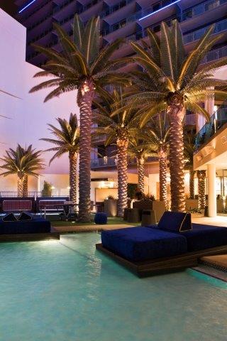 Fabricated Palm Trees by Pool