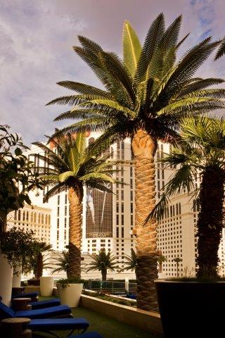 Artificial Palm Trees against Las Vegas Strip background