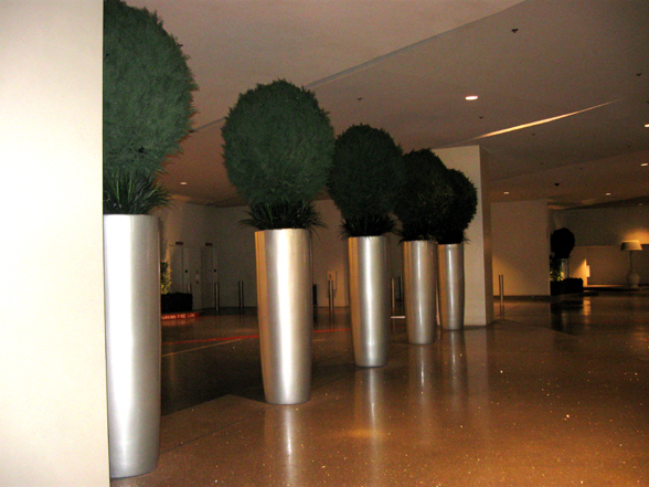 Ball Topiaries in Planters