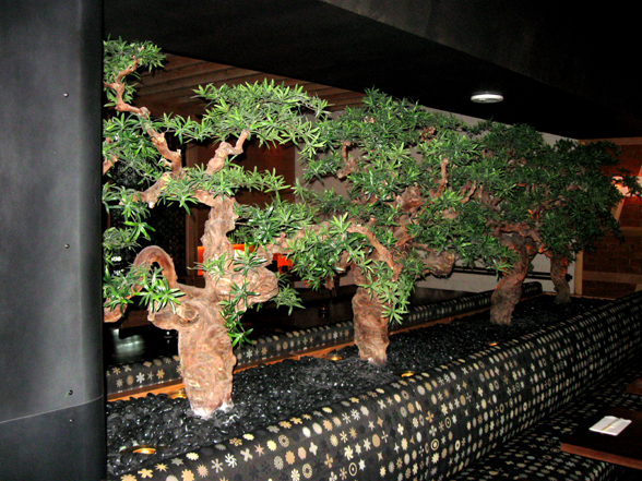 Faux Bonsai Trees