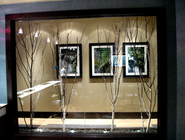 Birch Branches in Glass