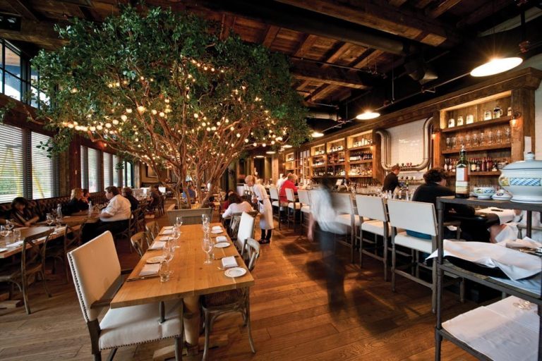 Interior Black Olive Trees at Canadian Restaurant | TreeScapes & PlantWorks