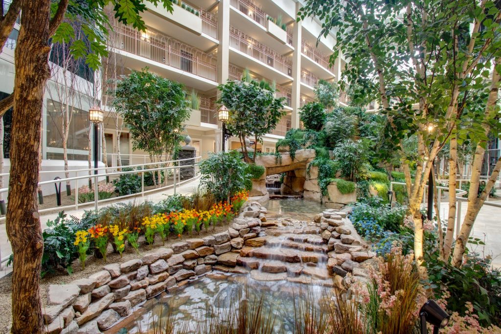 Indoor Atrium Trees Plants At Senior Living Community TreeScapes 