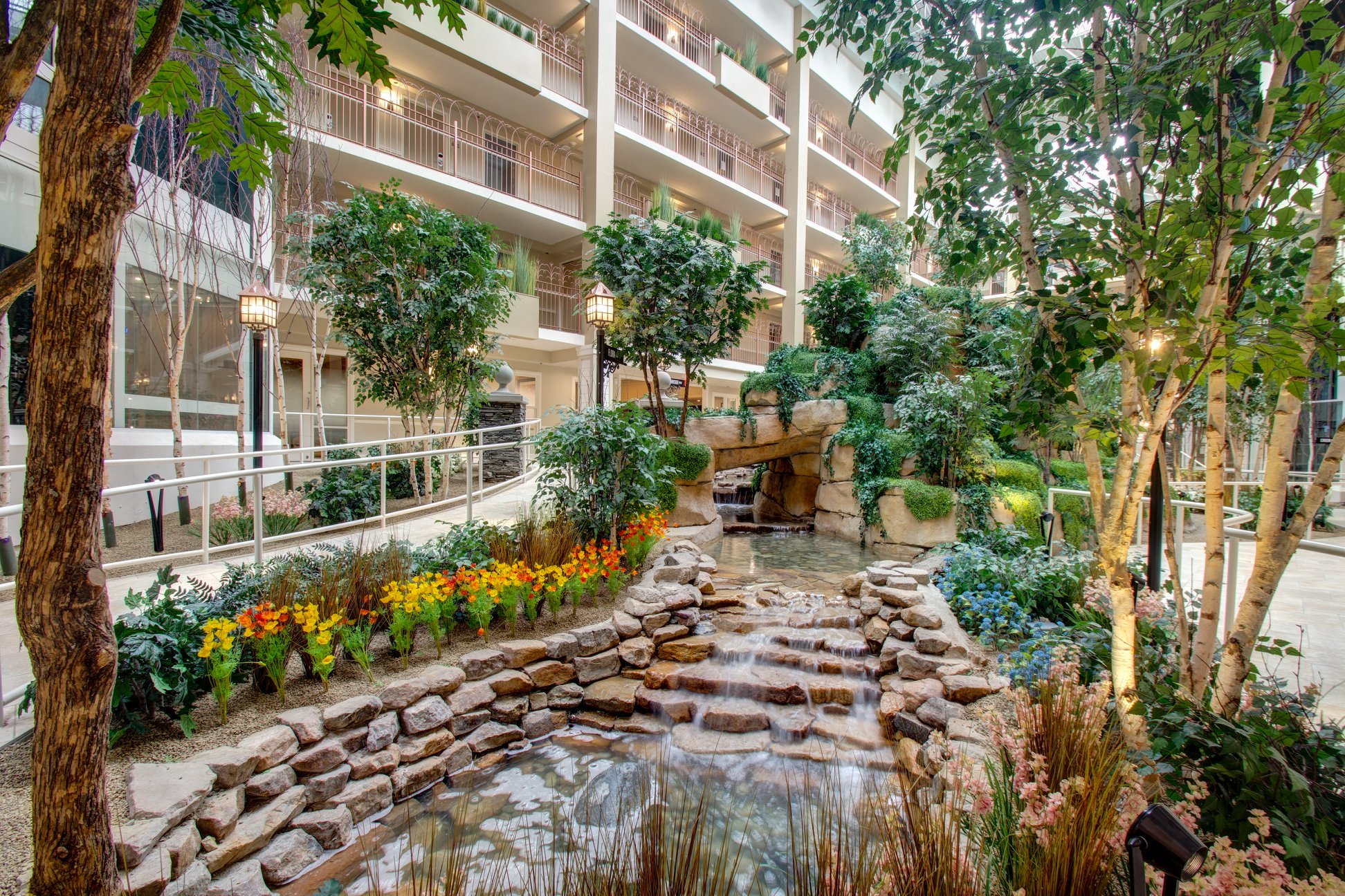 Indoor Atrium Trees & Plants at Senior Living Community | TreeScapes