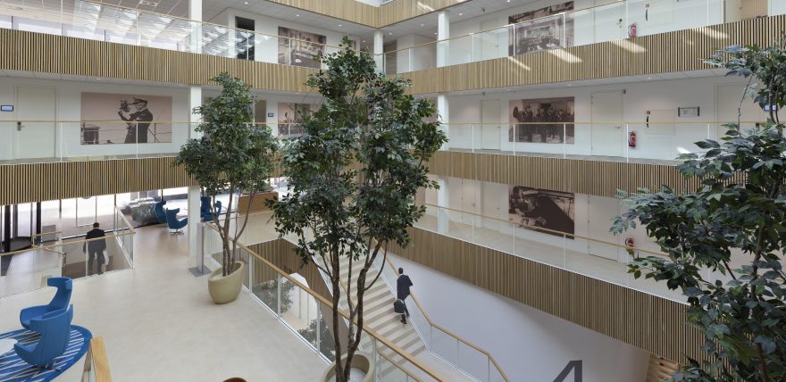 Elevated view of Artificial Ficus Trees at a Dutch International Maritime Center