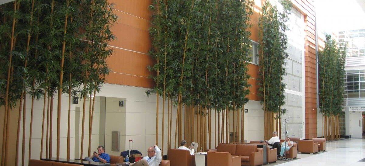 Fabricated Golden Oriental Bamboo at Medical Center