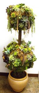 faux succulent topiary