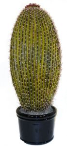 faux succulents large cactus