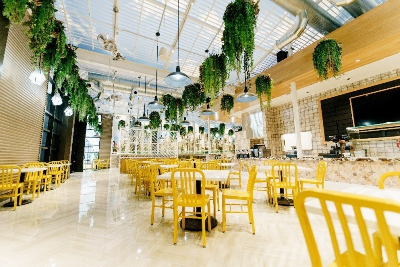 Wide angle view of Artificial Hanging Plants at Cannabis Coffee Shop