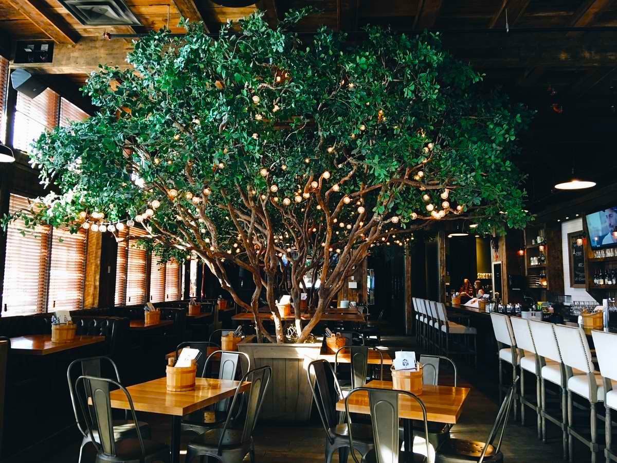 Artificial Black Olive Tree in Canadian Restaurant