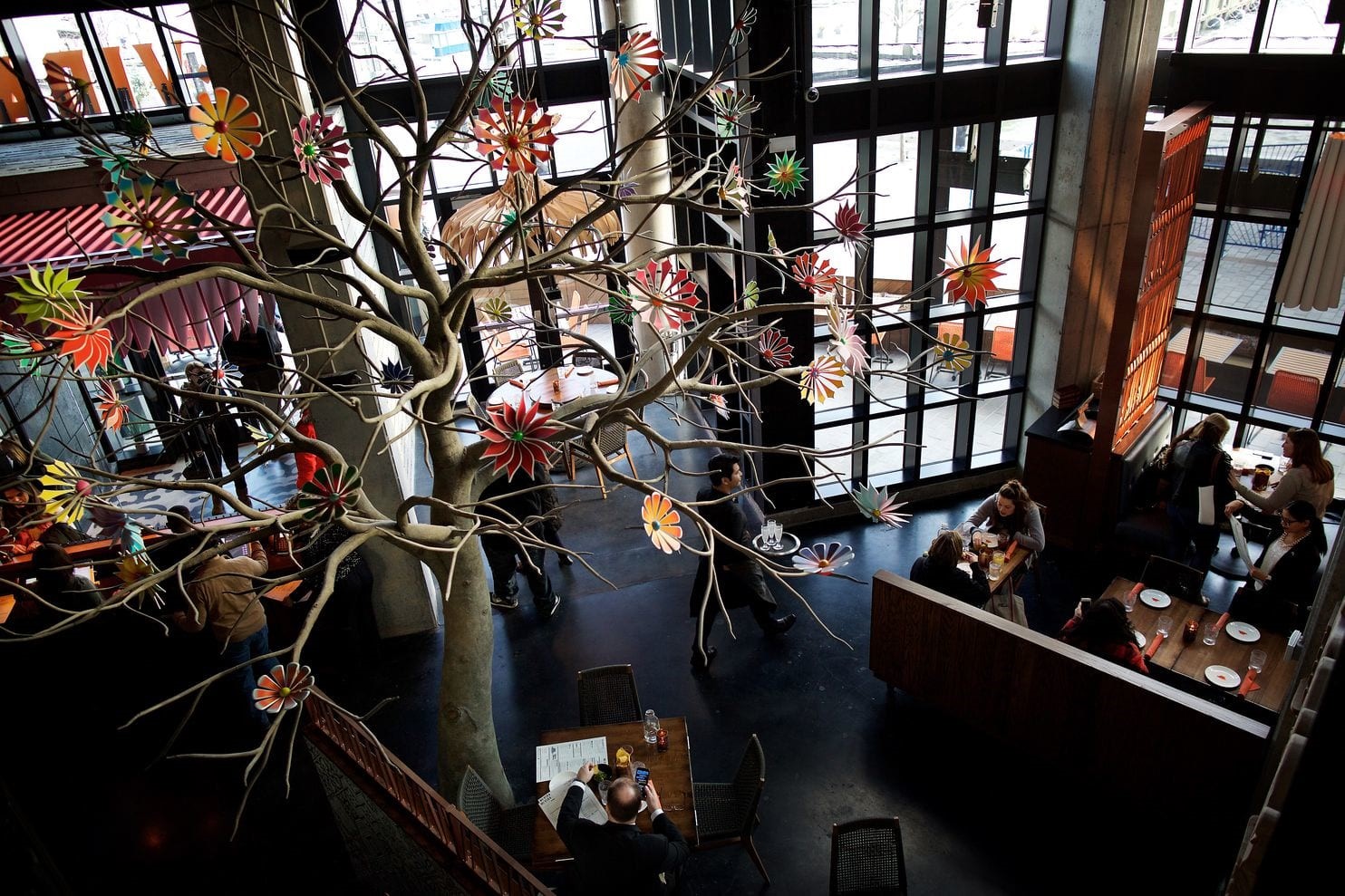 Overhead view of Custom Creation Artistic Fantasy Steel Tree for Mexican Restaurant