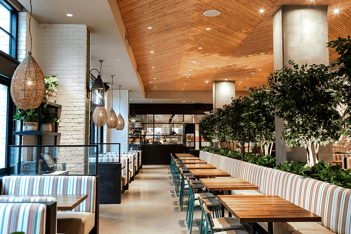 Faux Ficus Trees act as dividers for row of booths at Phoenix Restaurant