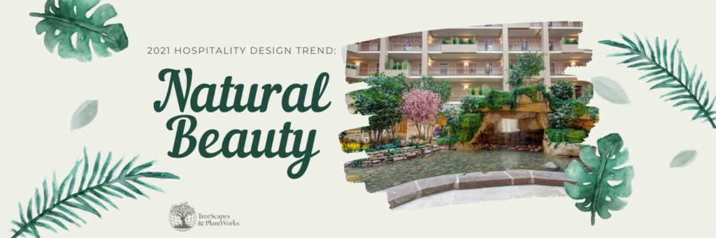 Copy of Natural Beauty SM Image Banner