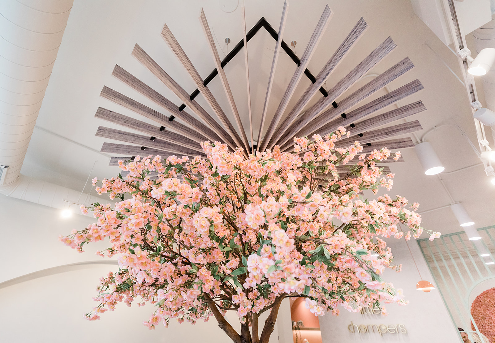 Fabricated Cherry Blossom Tree for Little Chompers low angle view