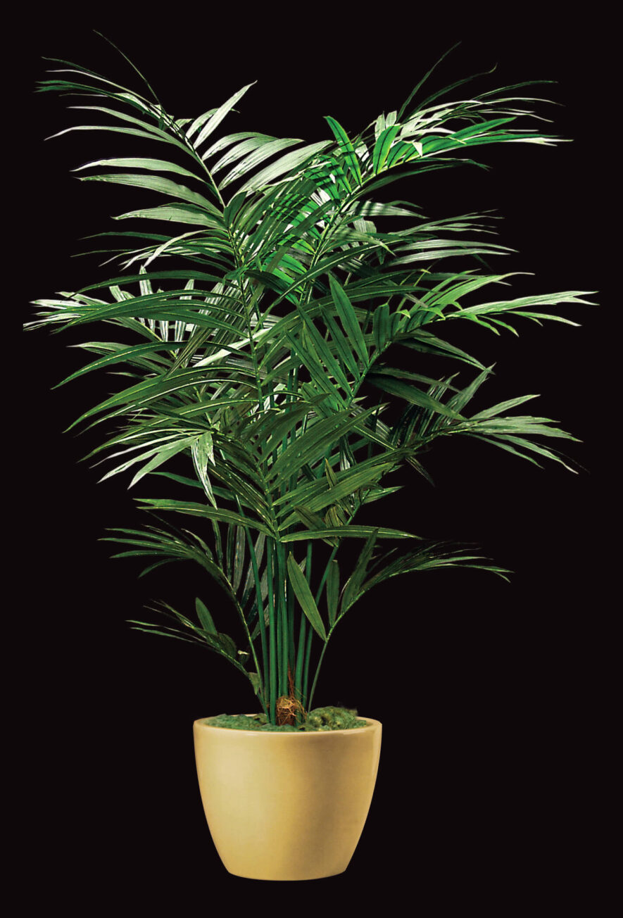 Replica Kentia Palm Tree