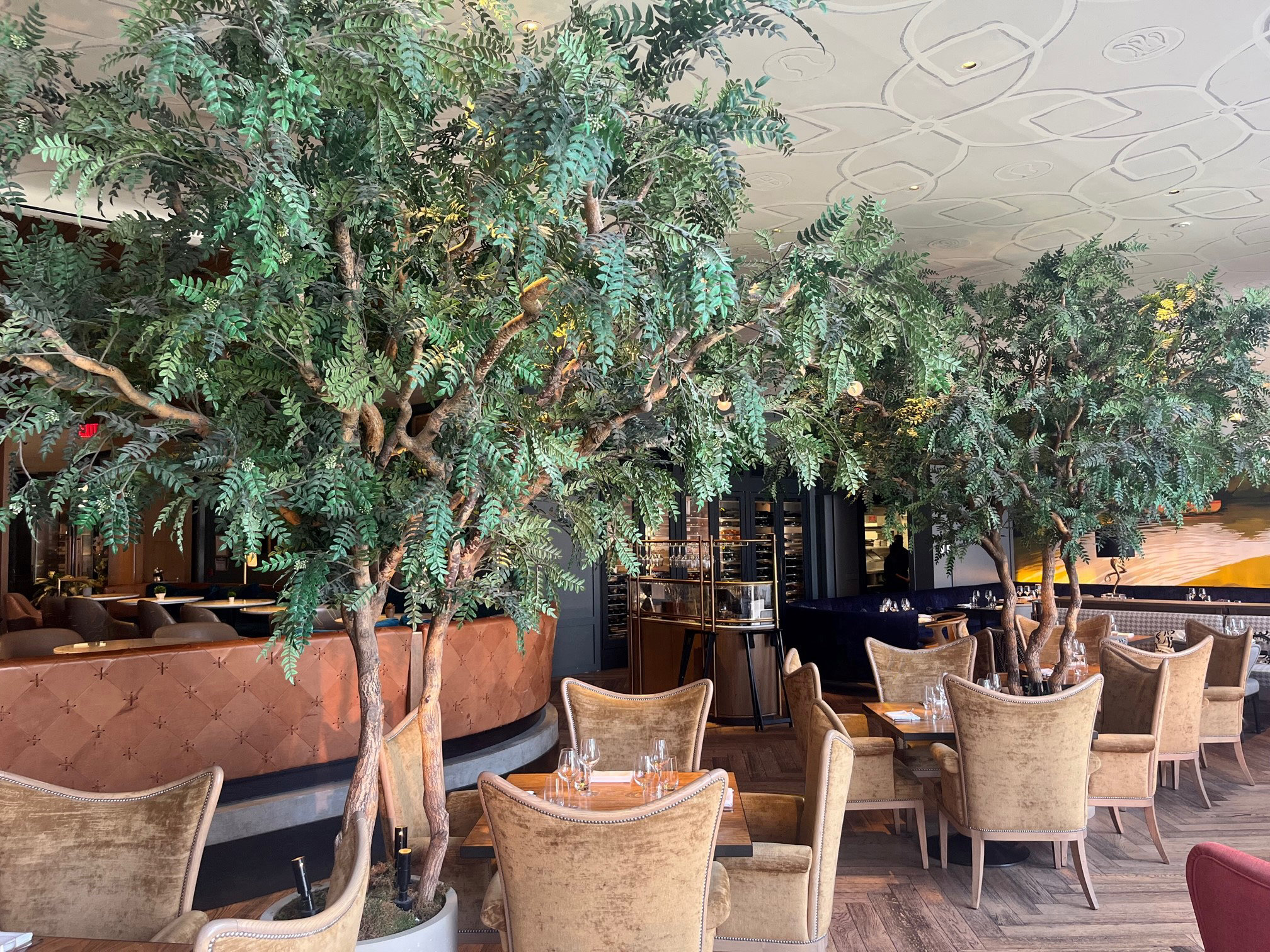 Artificial indoor Acacia tree at Queensyard Restaurant in New York