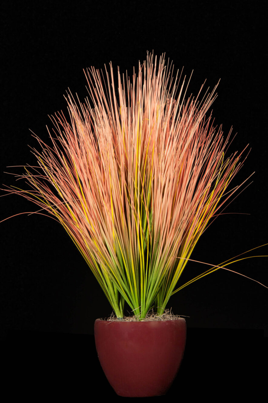 Artificial Grass by International Plantworks