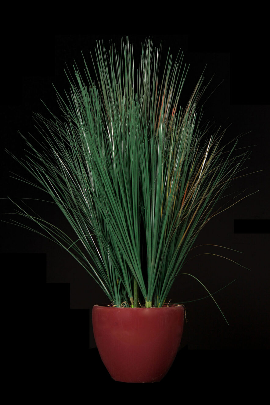Artificial Green Onion Grass by International Plantworks