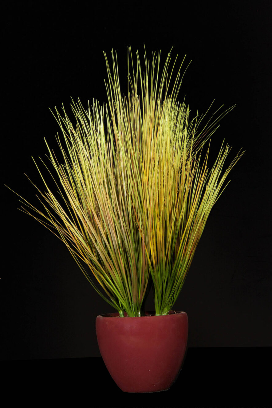 Artificial Yellow Onion Grass by International Plantworks